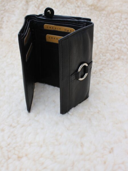 Ladies Leather Coin & Note Purse